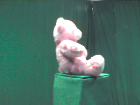 225 Degrees _ Picture 9 _ Pink Floral Design Teddy Bear.png